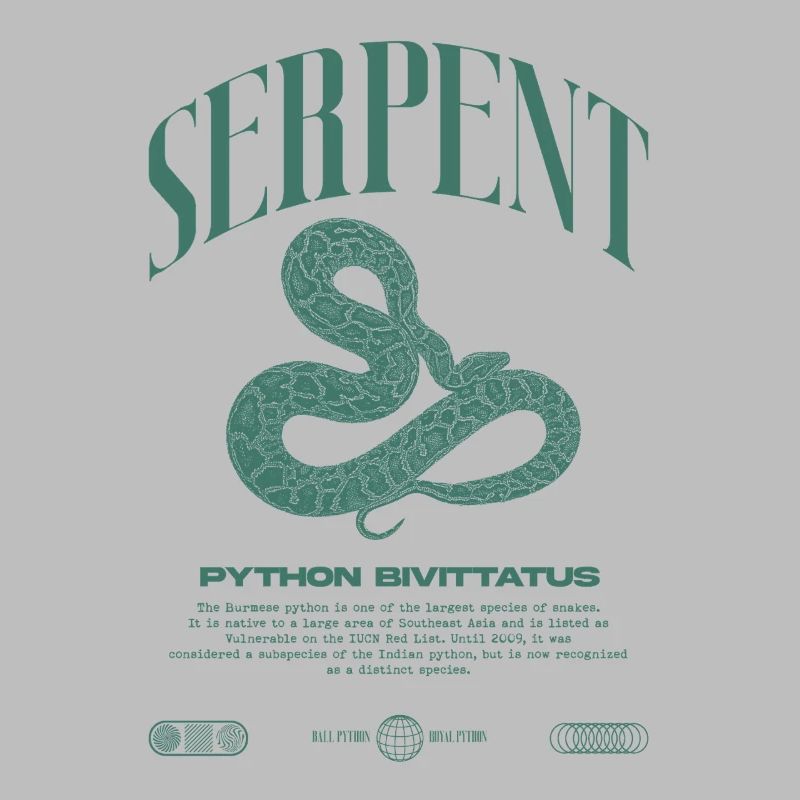 Burmese Python Modern Reptile Keeper Streetwear