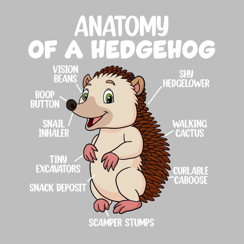 Anatomie eines Igels