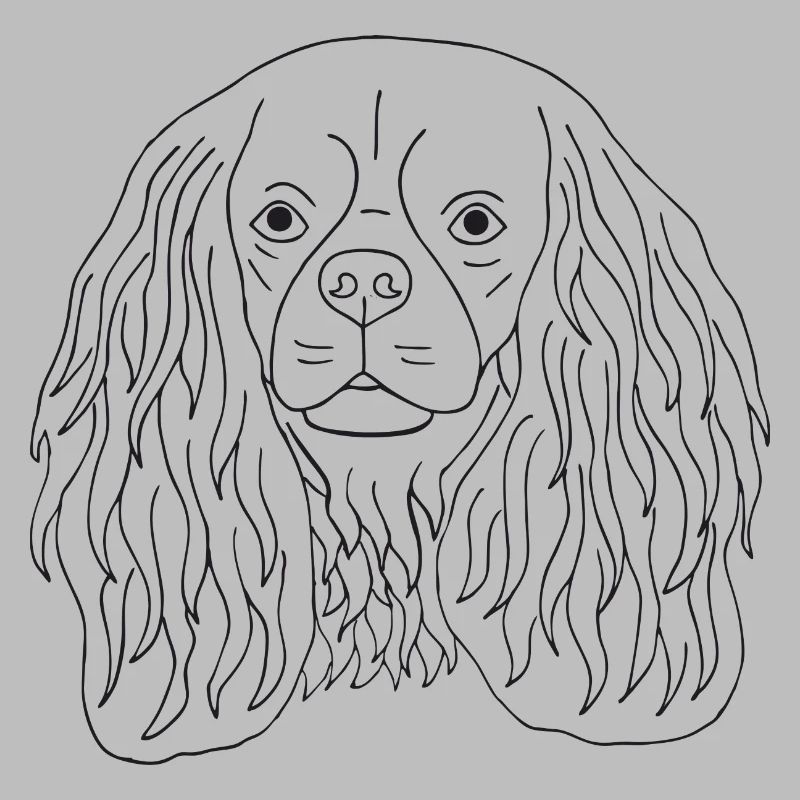 Cavalier King Charles Spaniel