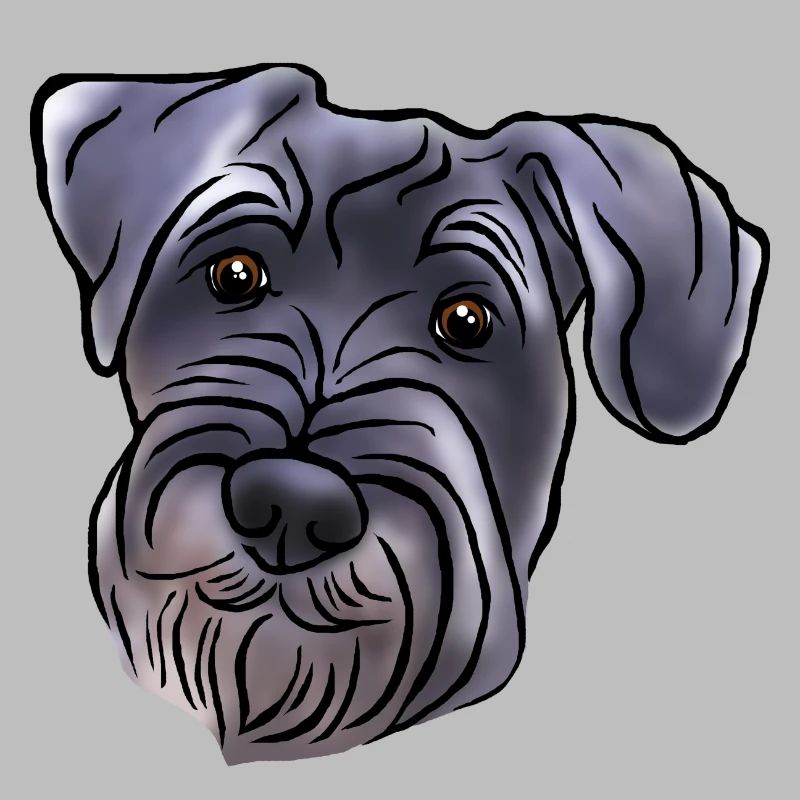 Mittelschnauzer Kopf im Comicstyle