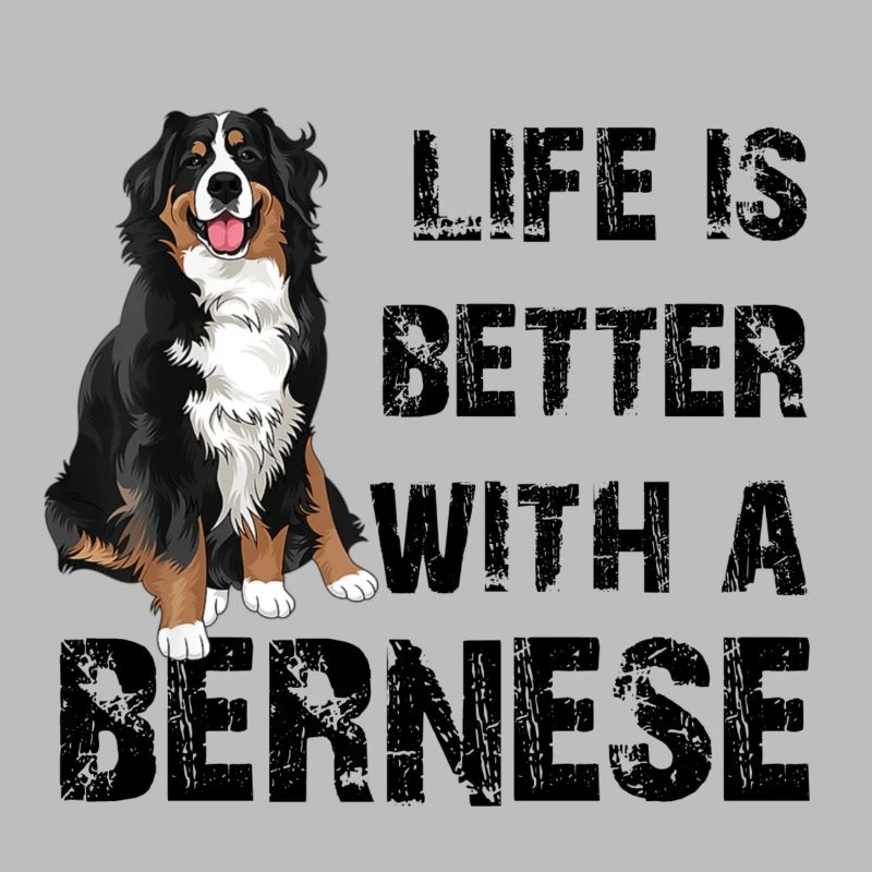 Bouvier bernois