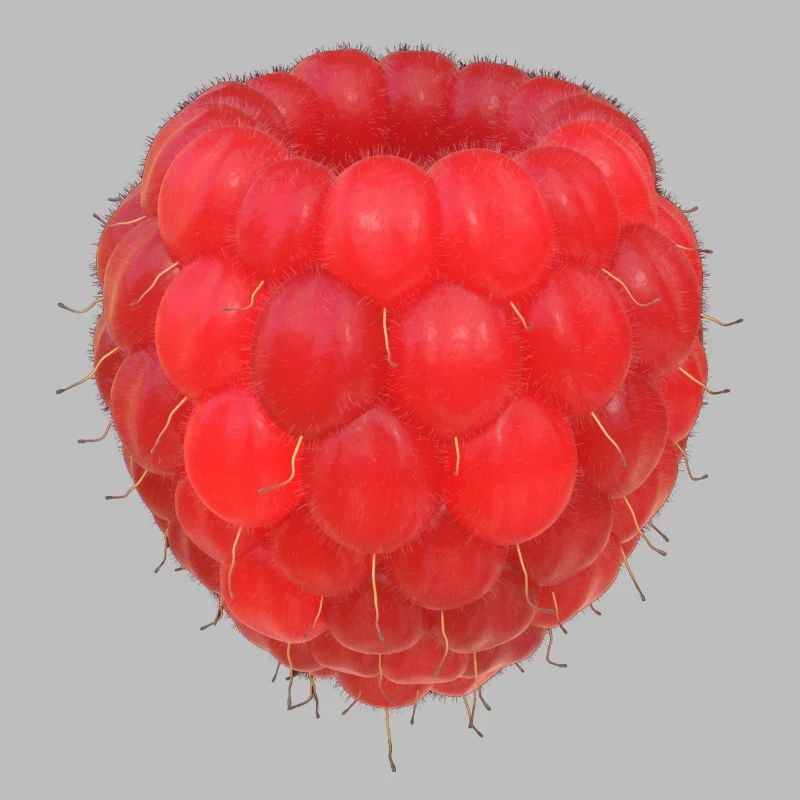 Modèle de grappe de framboises