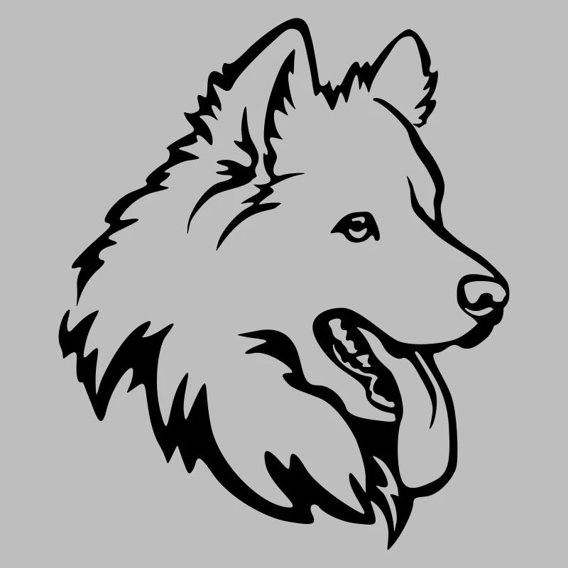 Samoyed head