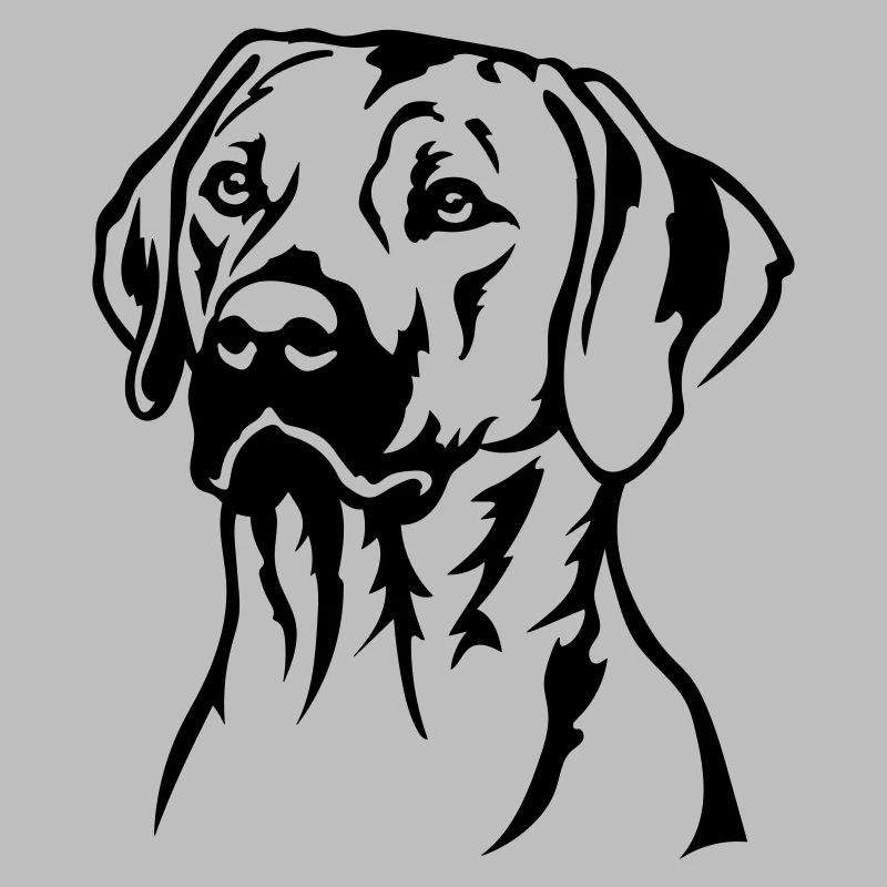Rhodesian Ridgeback Kopf