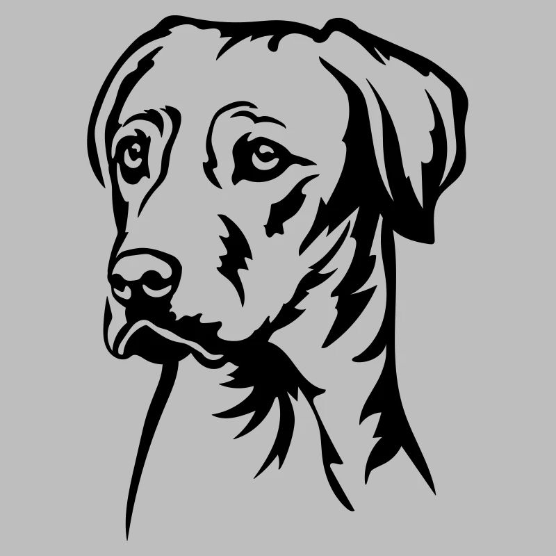 Rhodesian Ridgeback Kopf