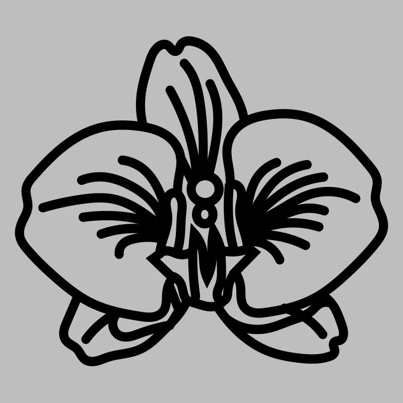 orchidée
