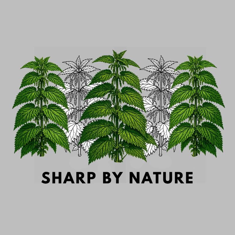 Stinging nettle is sharp by nature