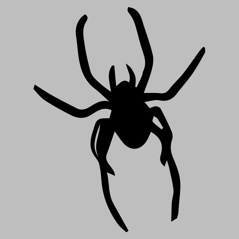 spider
