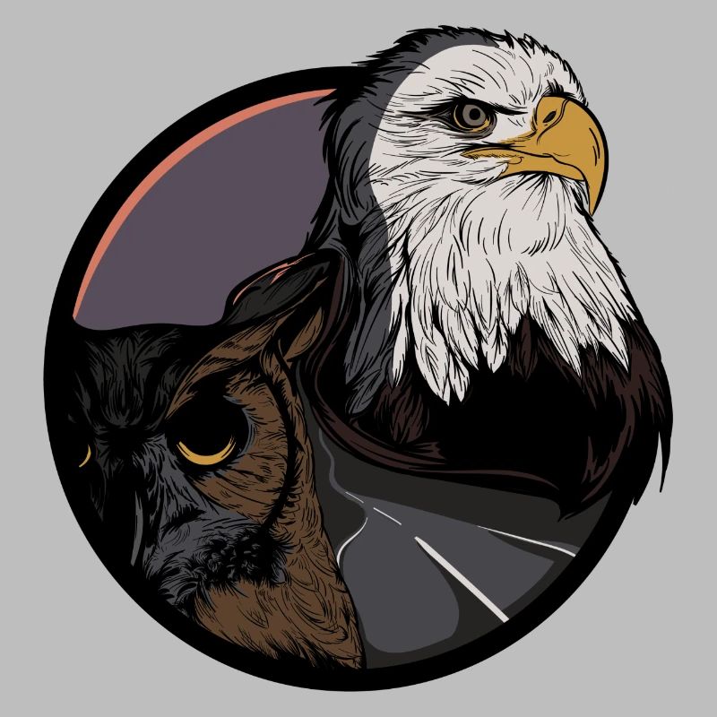 Eagle - forest - owl - eagle owl - highway - road