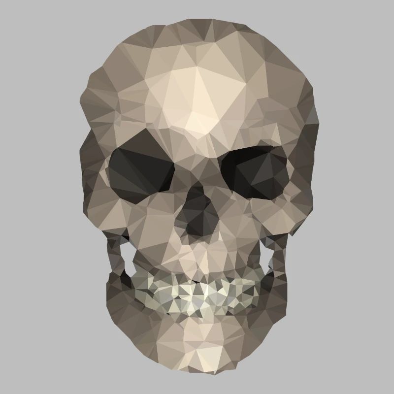 Polygon Geometrischer Schädel – Moderner Low Poly