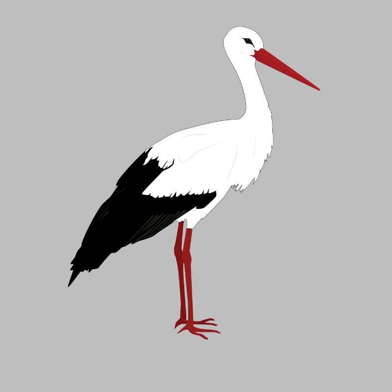 Storch steht