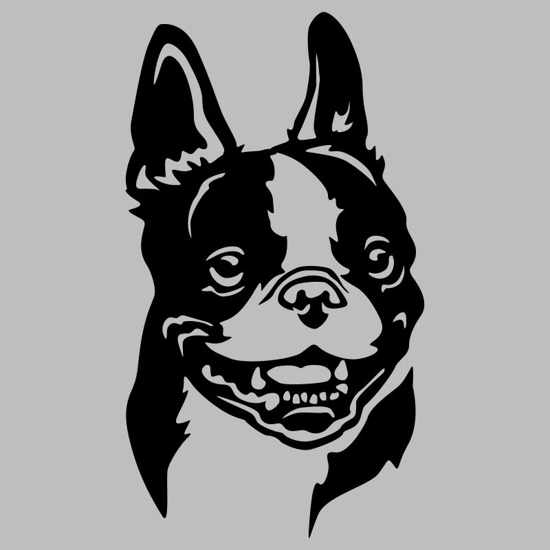 Boston Terrier Kopf