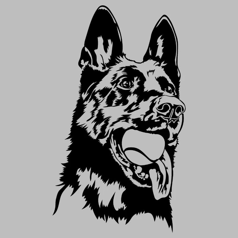 Deutscher Schäferhund Balljunkie Hunde Wilsigns