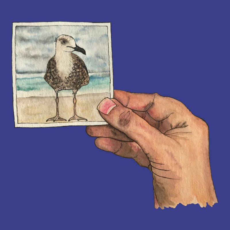 Hand mit Foto einer Möwe