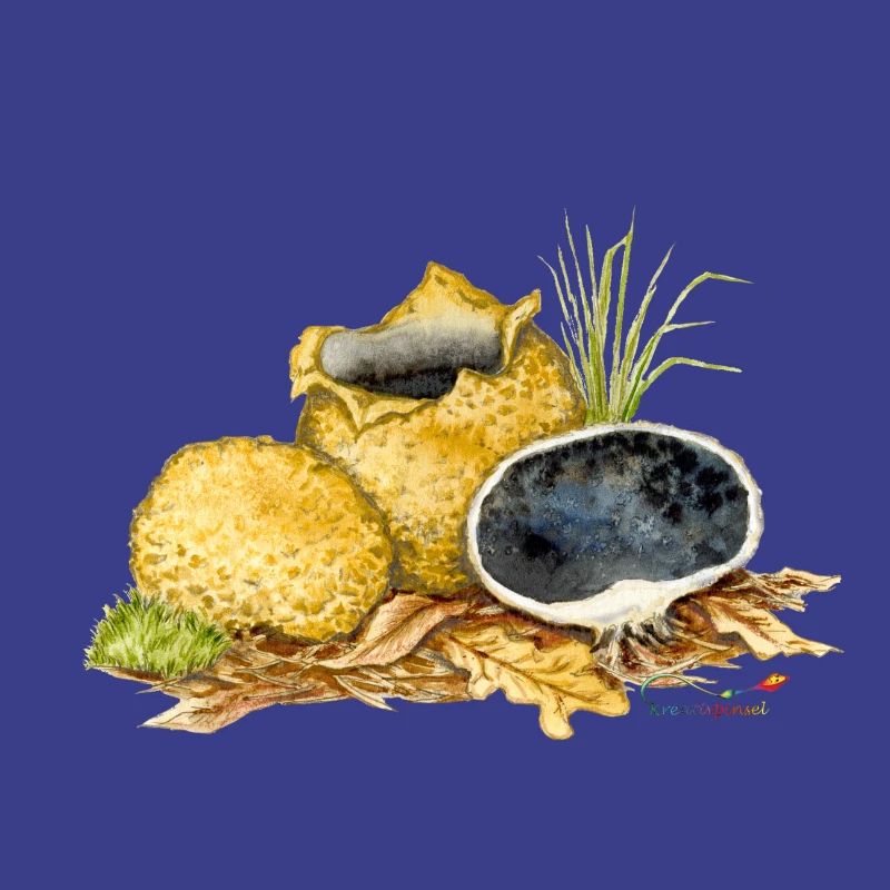 Kartoffelbovist (Scleroderma citrinum)