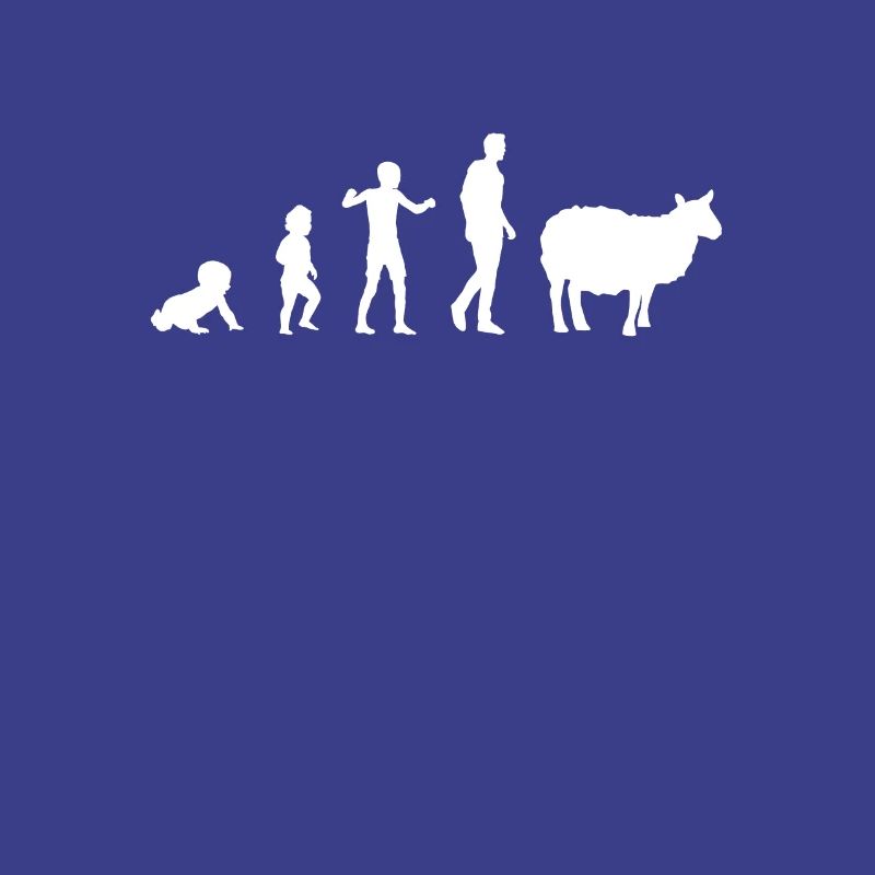 evolution bebe sheep humor sheep breeder