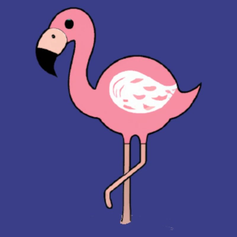 Flamingo gift idea pink pink pink