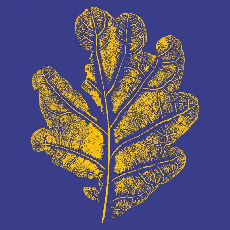 Blatt Eiche/ Eichenblatt