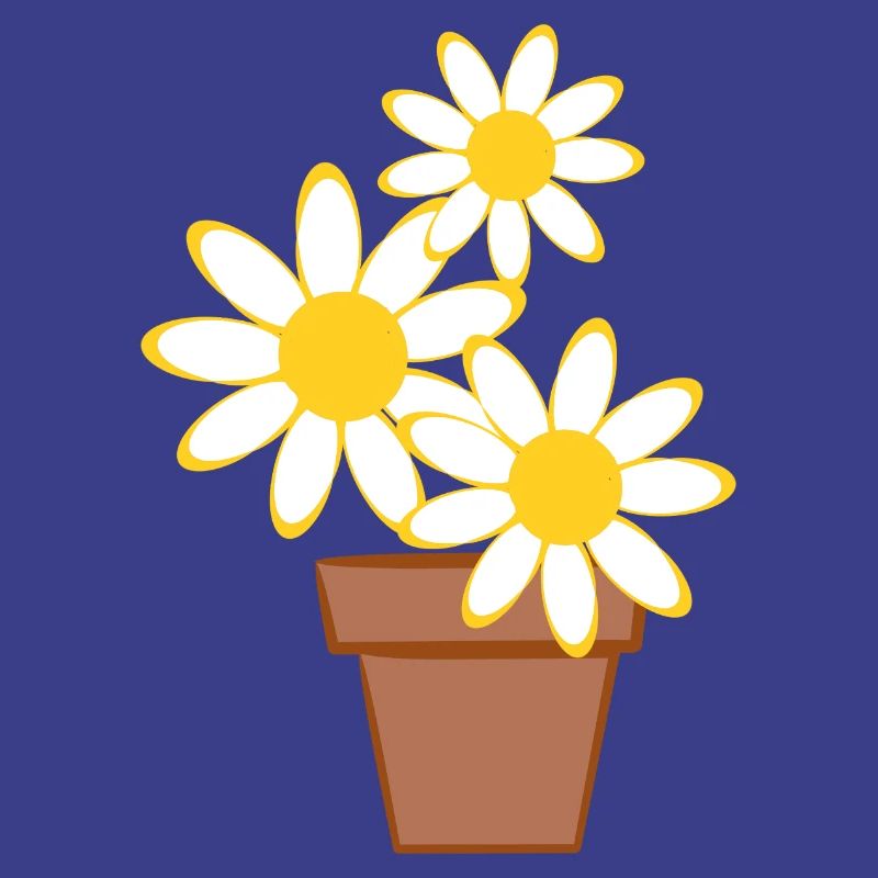 Gänseblümchen