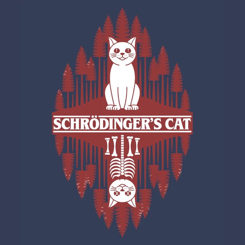 Le chat de Schroedinger : une chose étrange