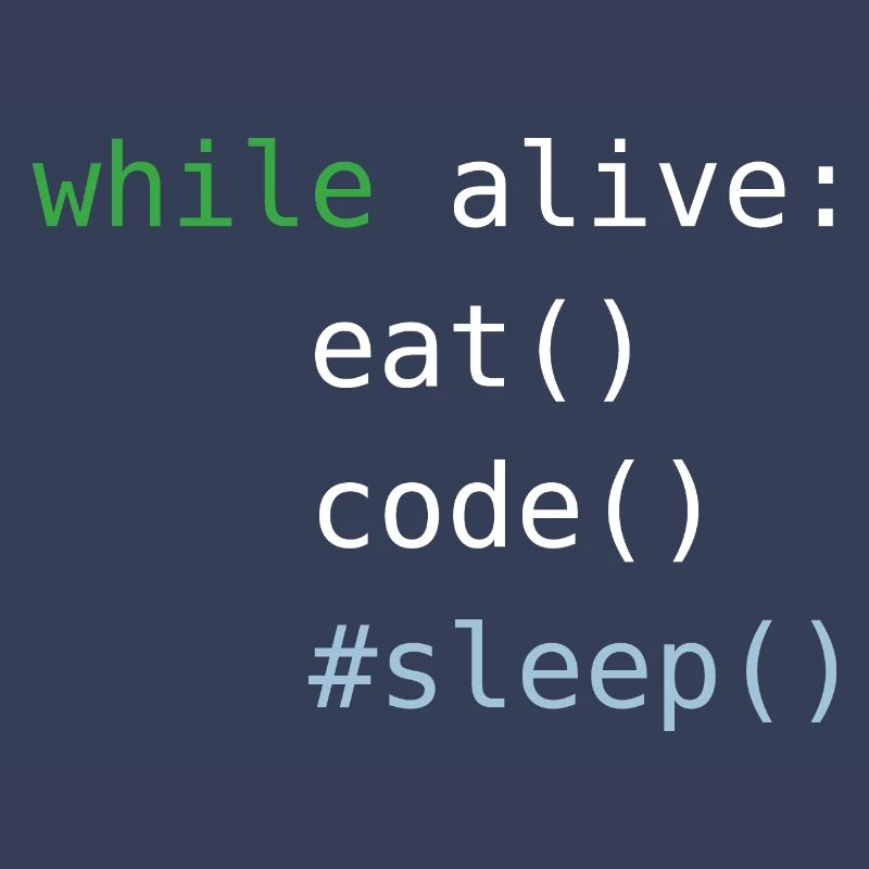 Python code | eat sleep code repeat |Programmieren