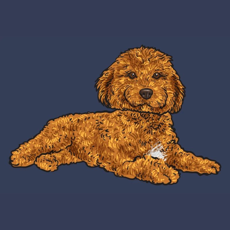 Cavapoo Capoodle Cavoodle Hund Geschenk