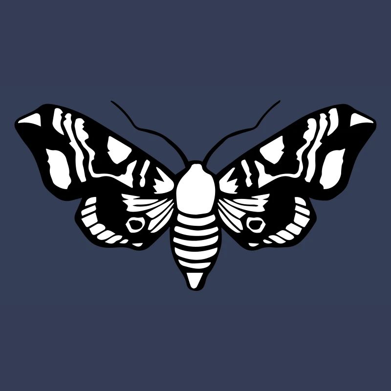 Moth / Moth