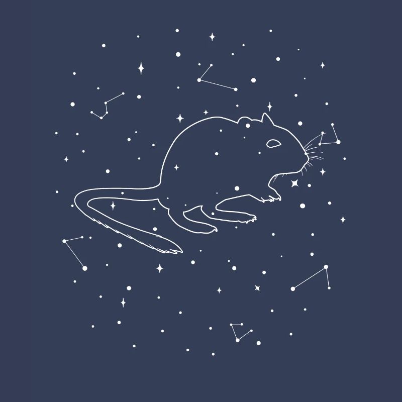 Constellation Degu Constellation Bush Rat Common