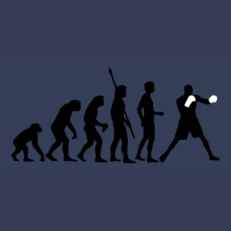 evolution_boxen_b_2c