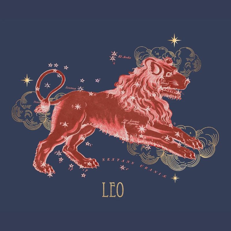Leo Constellation Celestial Map