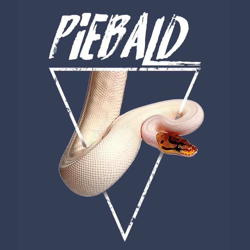 Piebald Ball Python Reptilienpfleger