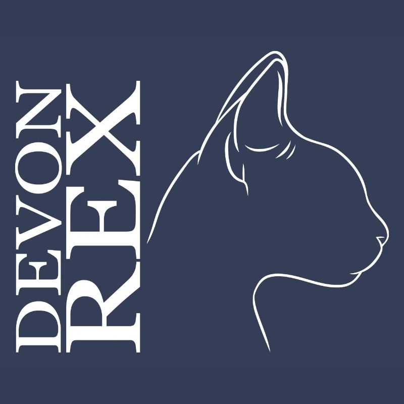 Devon Rex Profile Cat Cat Wilsigns