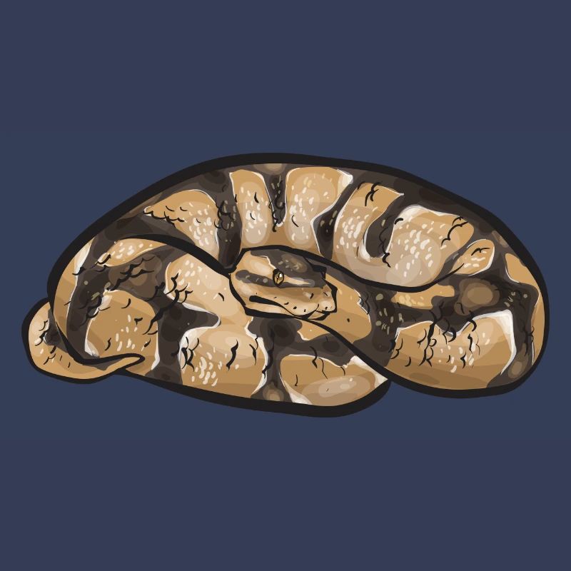 Ball Python Snake King Python