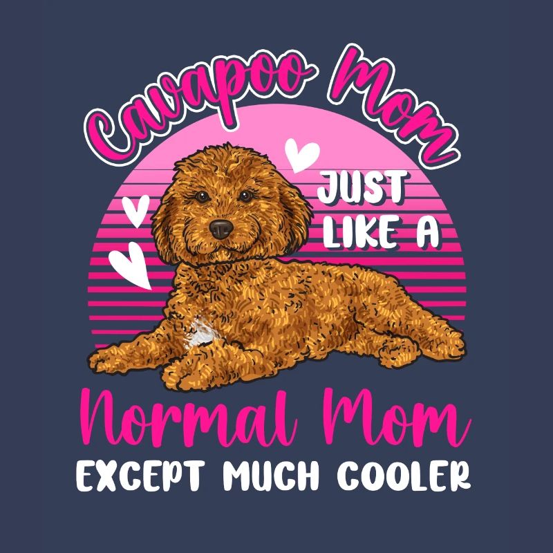 Cavapoo Cavoodle Capoodle Dog