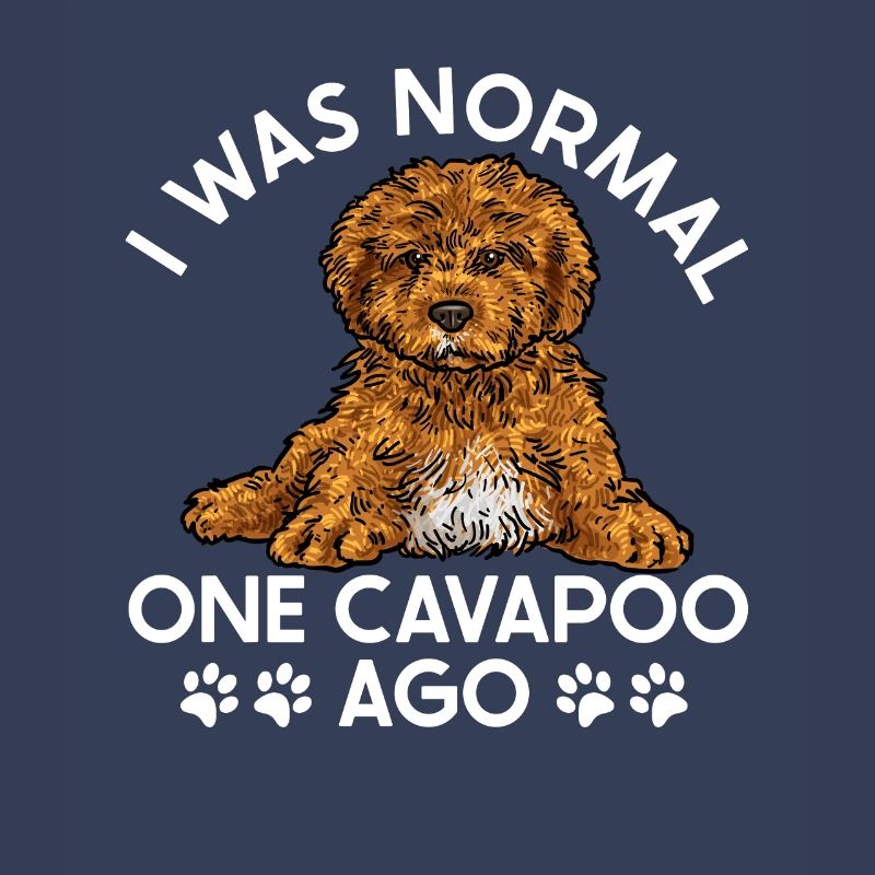 Cavapoo Cavoodle Capoodle Dog