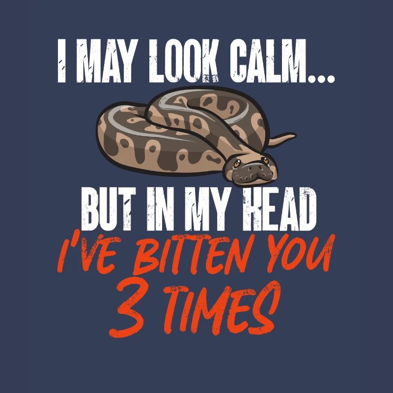 Ball Python Schlange Königspython