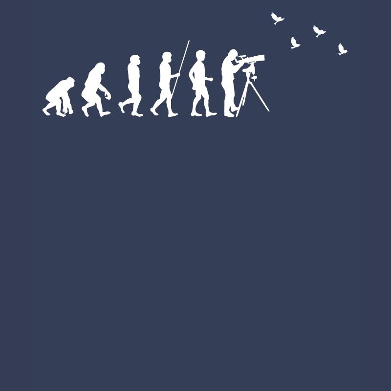 Observation des oiseaux - Observation des oiseaux - Evolution - fun
