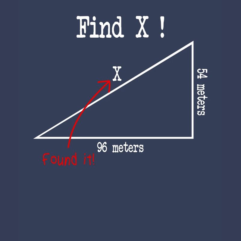 Math Math Meme Find X Found It Pythagore