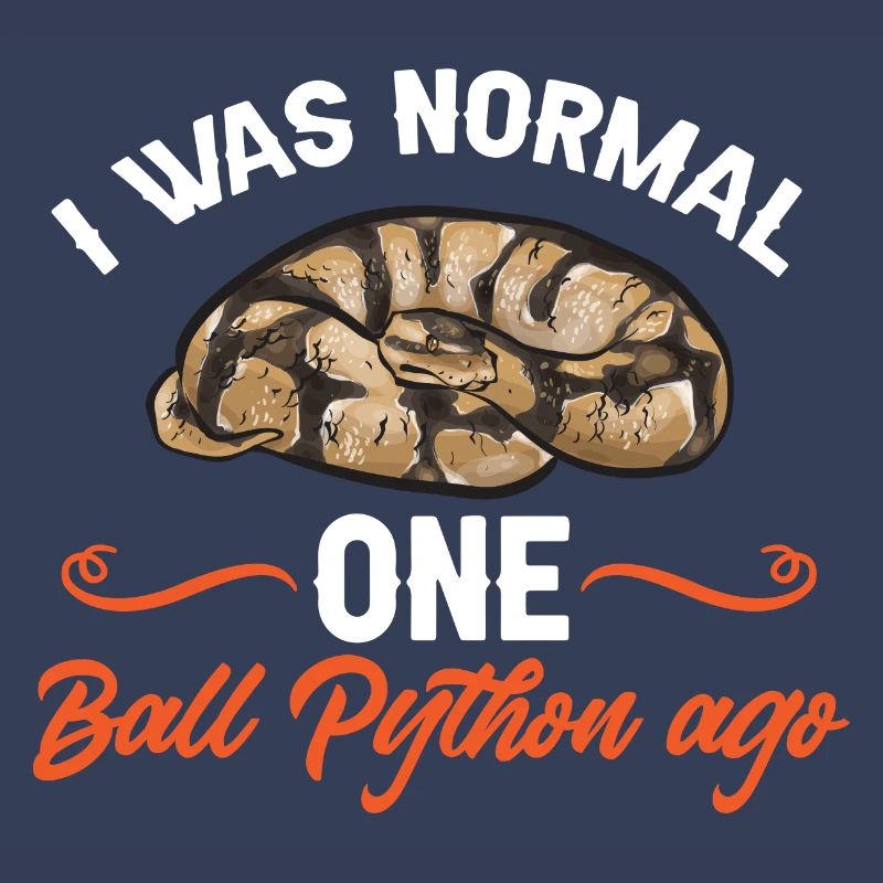 Ball Python Schlange Königspython