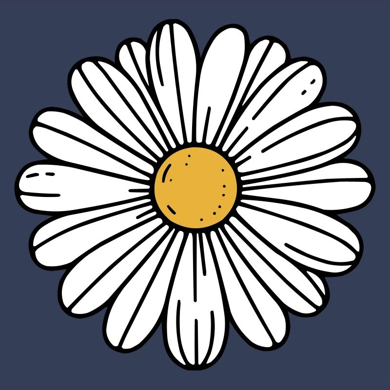 Gänseblümchen