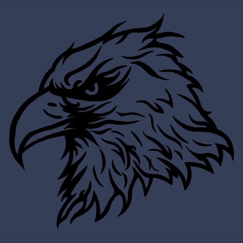 Cool Bald Eagle Eagle