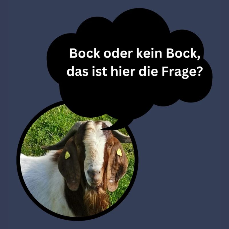 Fun Shirt "Bock oder kein Bock..."