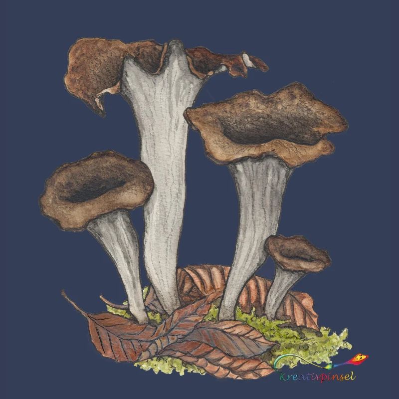 Herbst- oder Totentrompete, ein Pilz