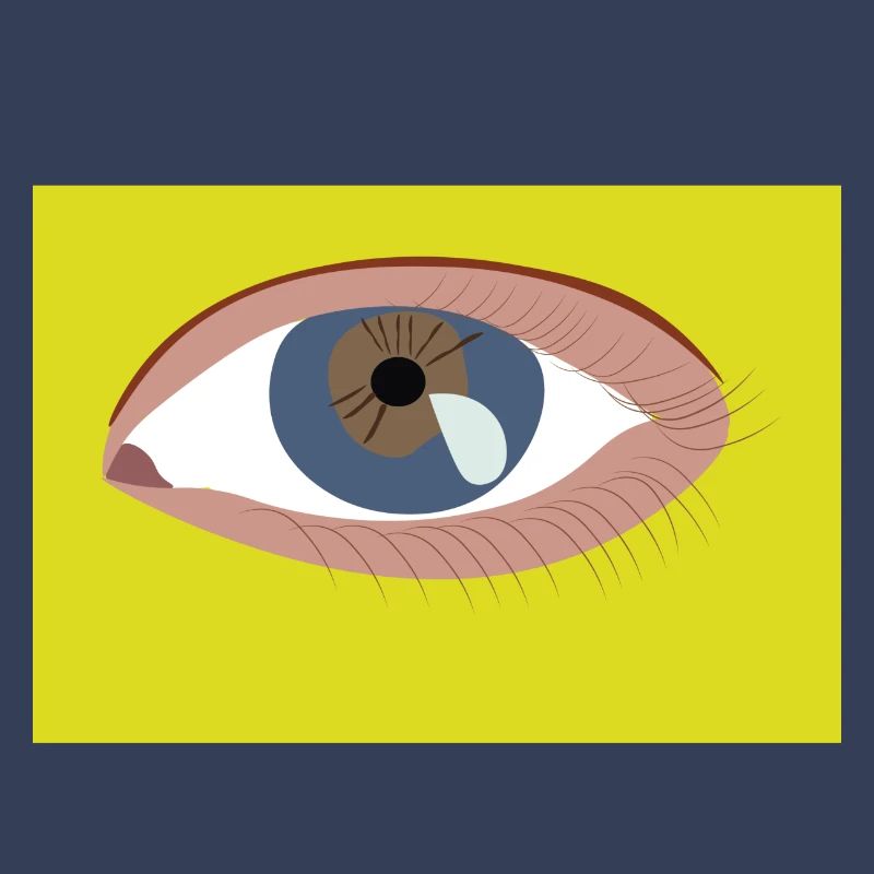 Oeil