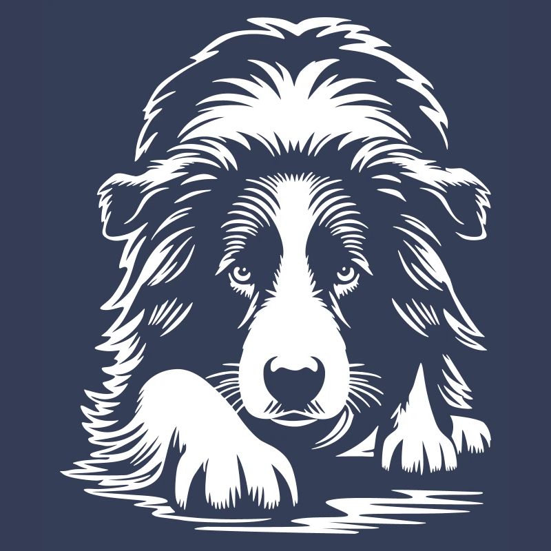 Border Collie "Black Edition"