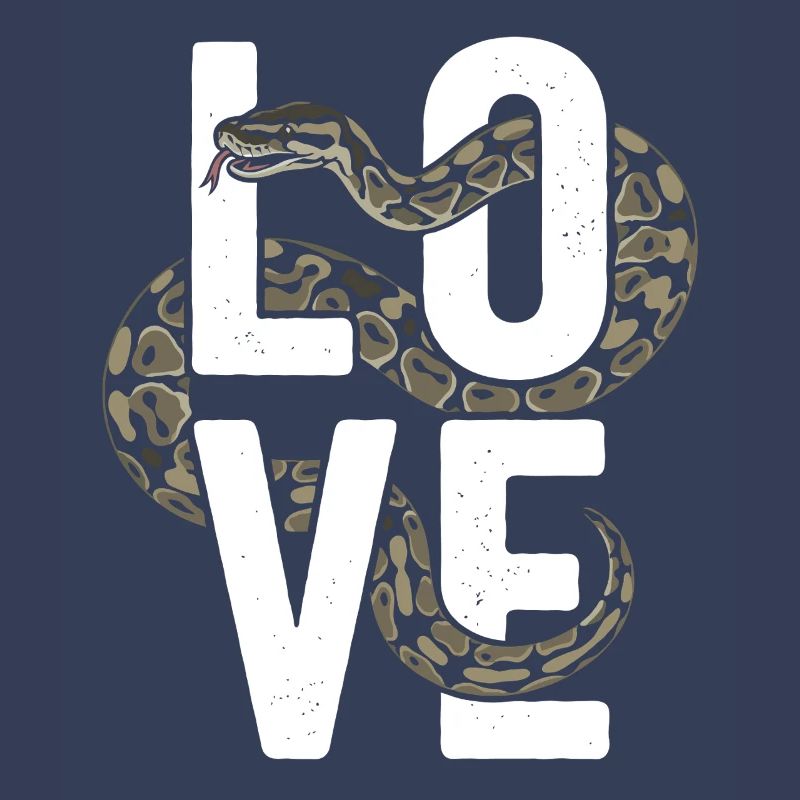 Les serpents rois Python ADORENT les pythons de terrarium