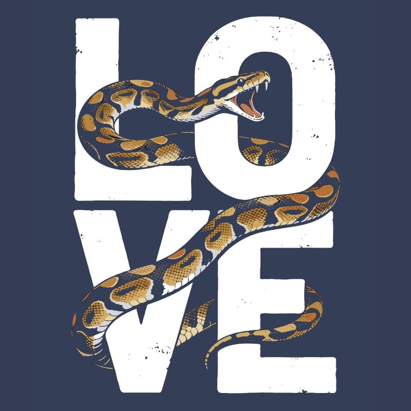 Les serpents rois Python ADORENT les pythons de terrarium
