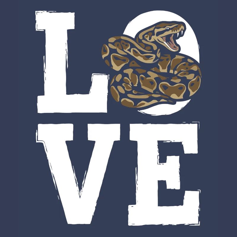 Les serpents rois Python ADORENT les pythons de terrarium