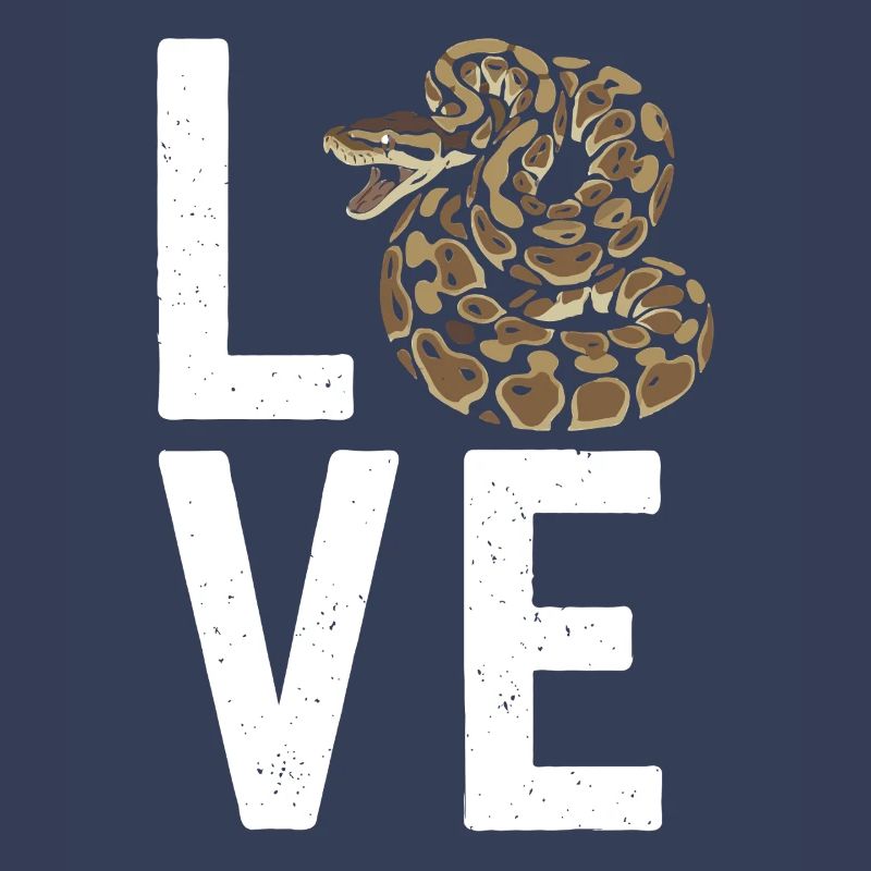 Les serpents rois Python ADORENT les pythons de terrarium