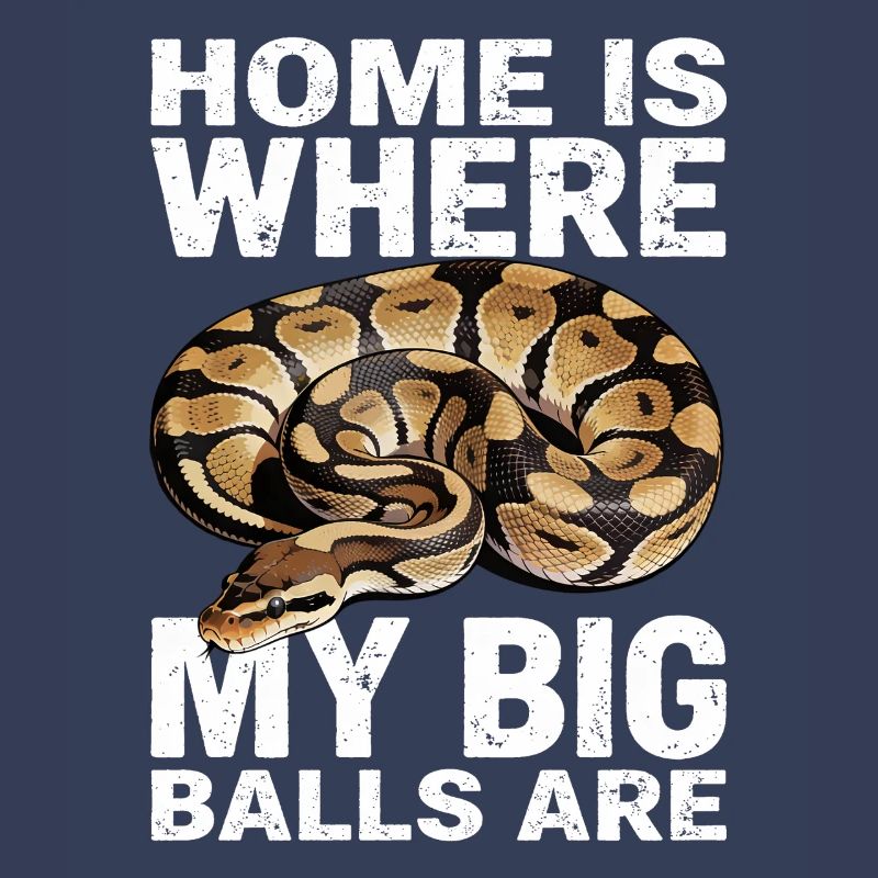 Python roi Serpents Amateurs de terrarium Python